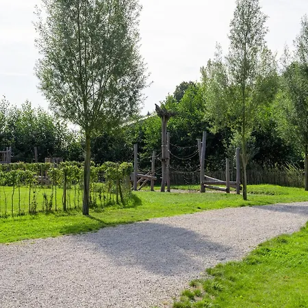In Tournai Near Forest Dock Antoing