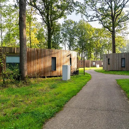 In Tournai Near Forest Dock *